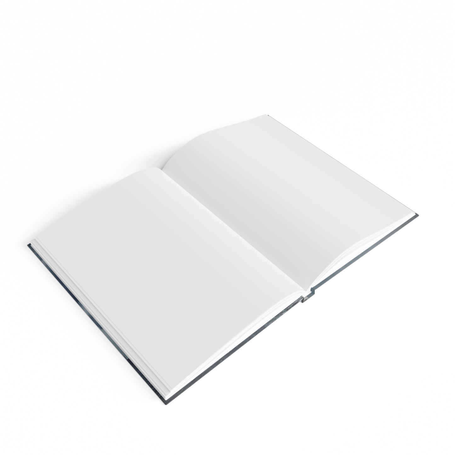 Heavenly Light Journal